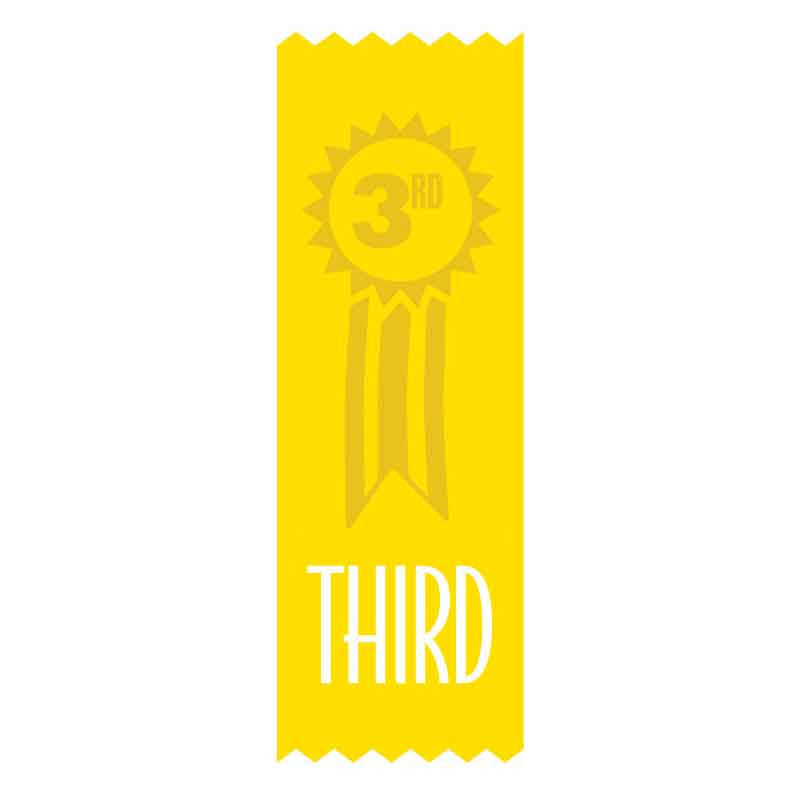 3rd Place Vinyl Ribbon